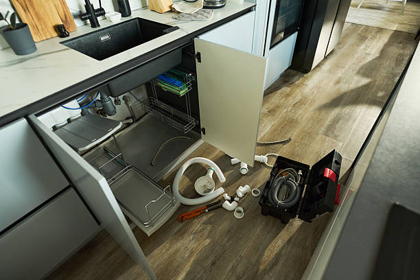 Reliable Garbage Disposal Repair contractor in Bellflower, IL by Street Wise - Plumbing