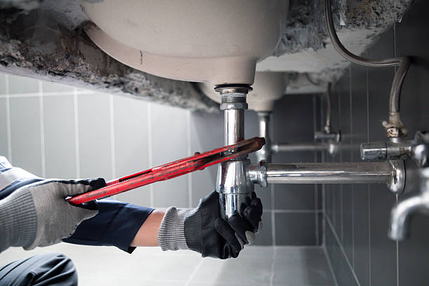 Licensed Garbage Disposal Repair service in Bellflower, IL - Street Wise - Plumbing